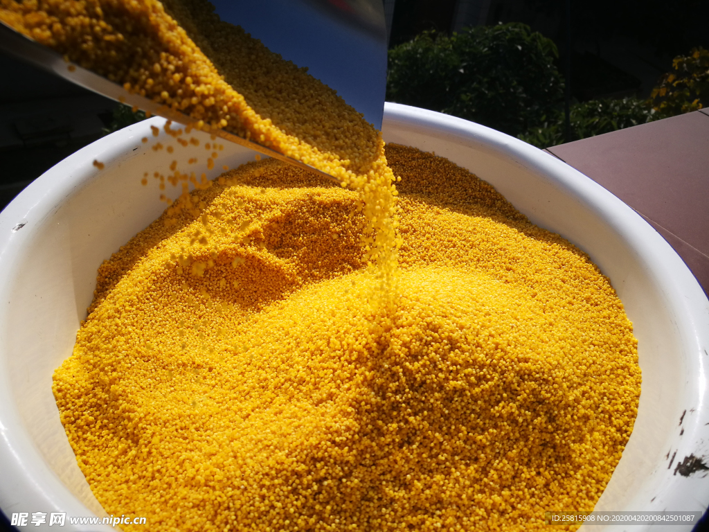 小米五谷杂粮图片