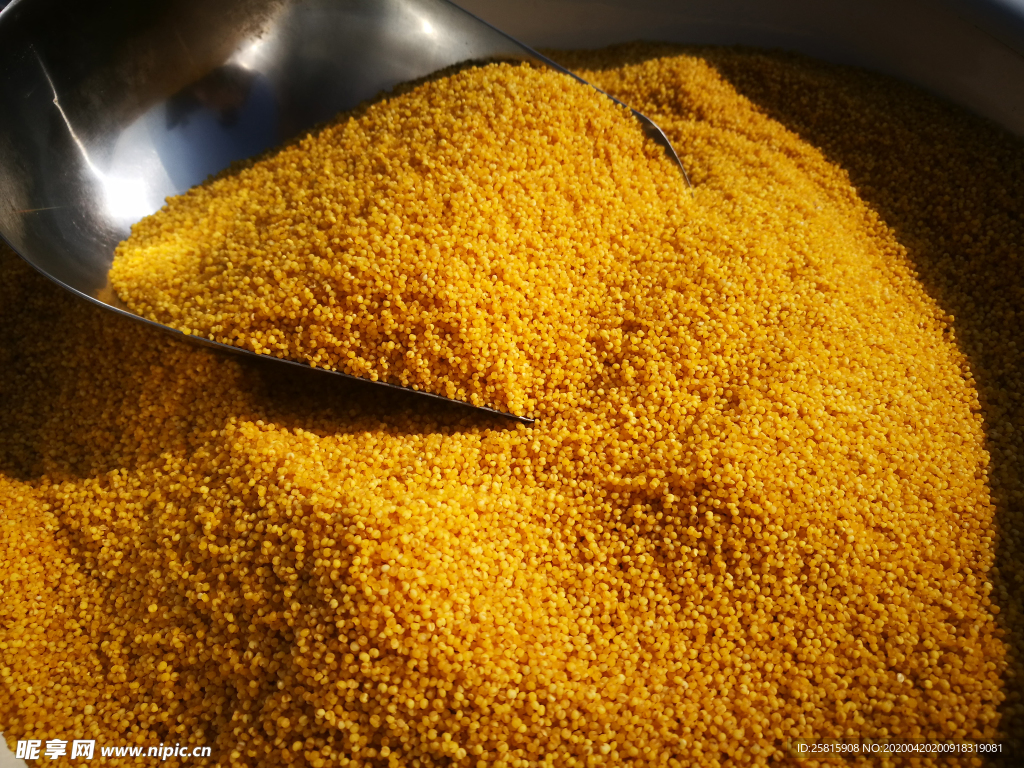 小米五谷杂粮图片