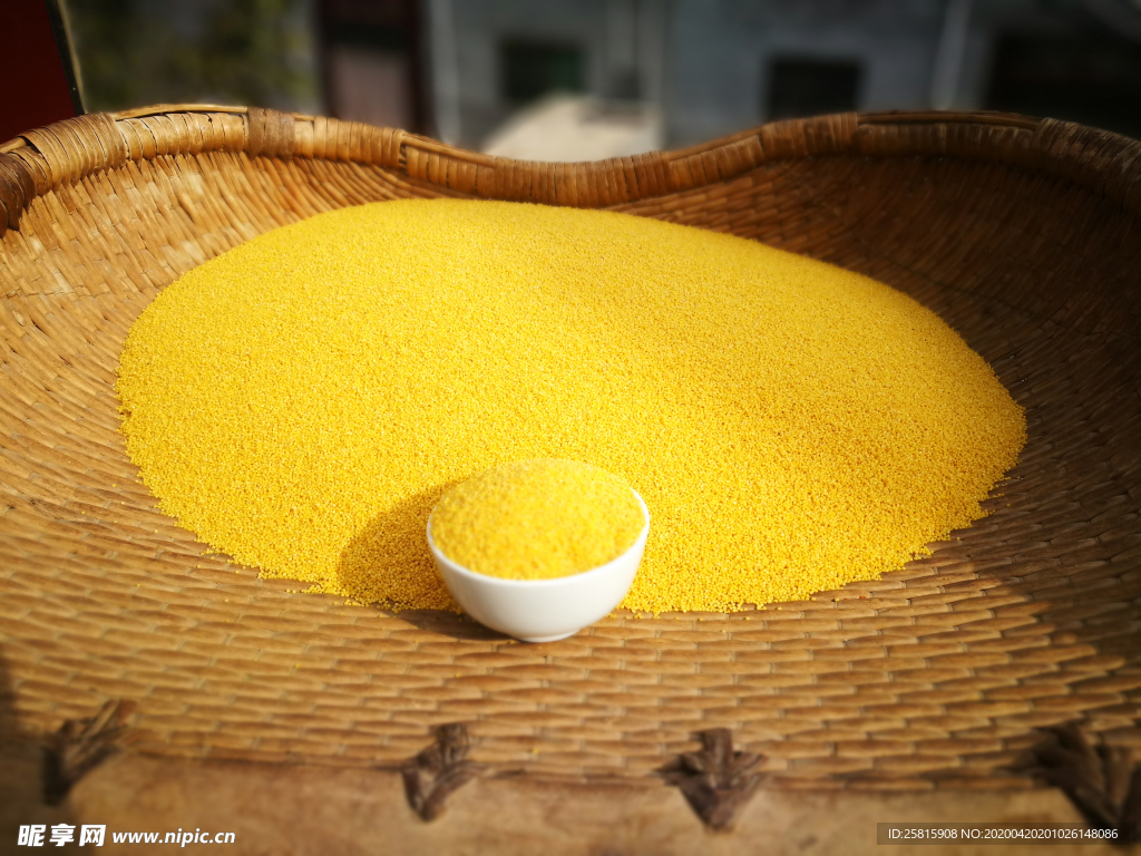 小米五谷杂粮图片