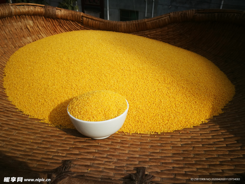 小米五谷杂粮图片