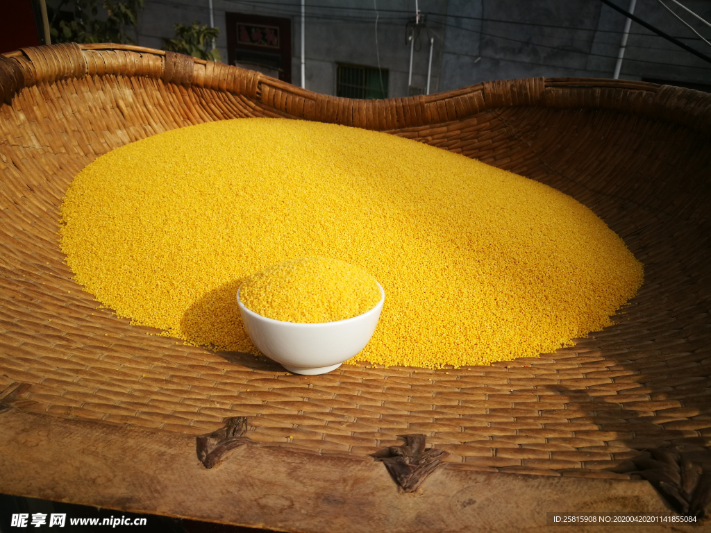 小米五谷杂粮图片