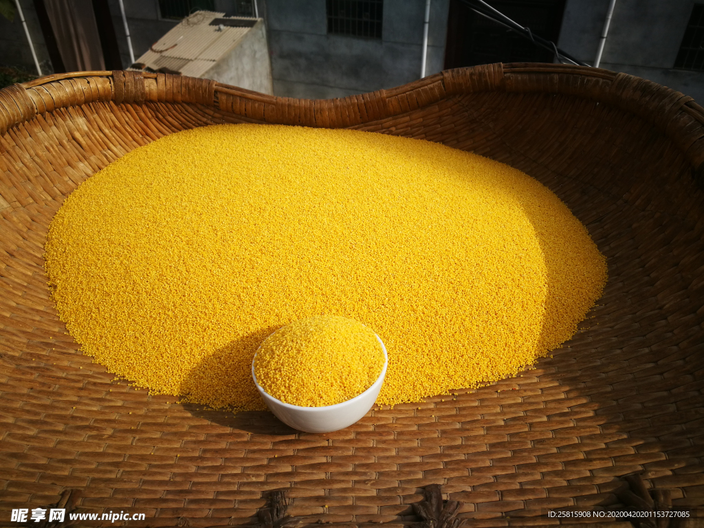 小米五谷杂粮图片