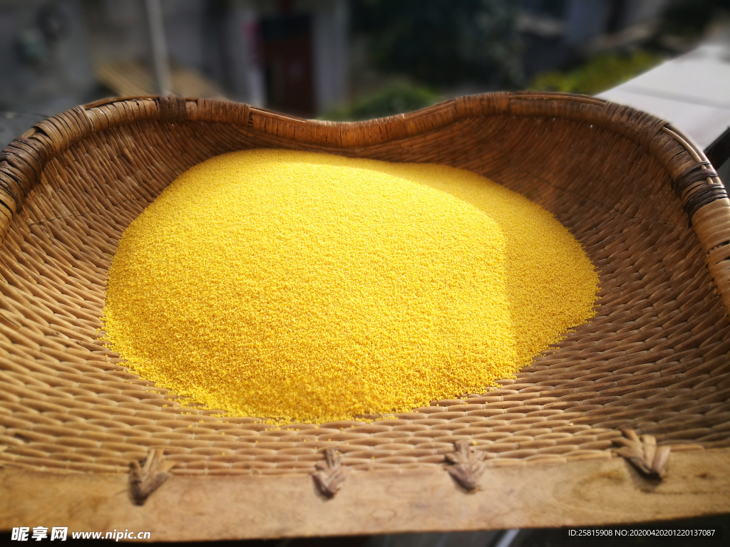 小米五谷杂粮图片