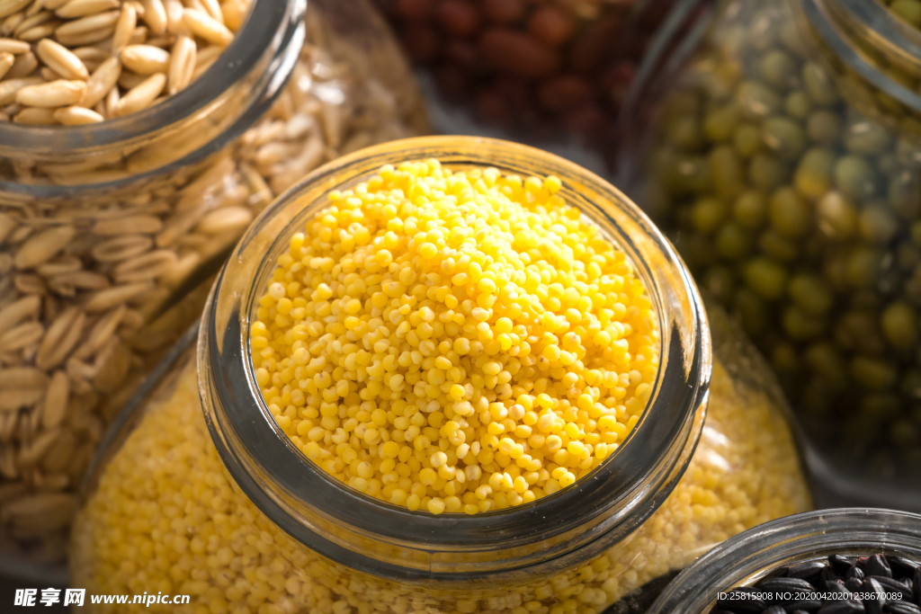 小米五谷杂粮图片