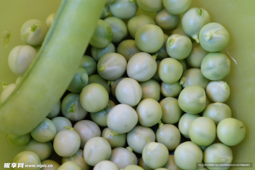 豌豆五谷杂粮图片