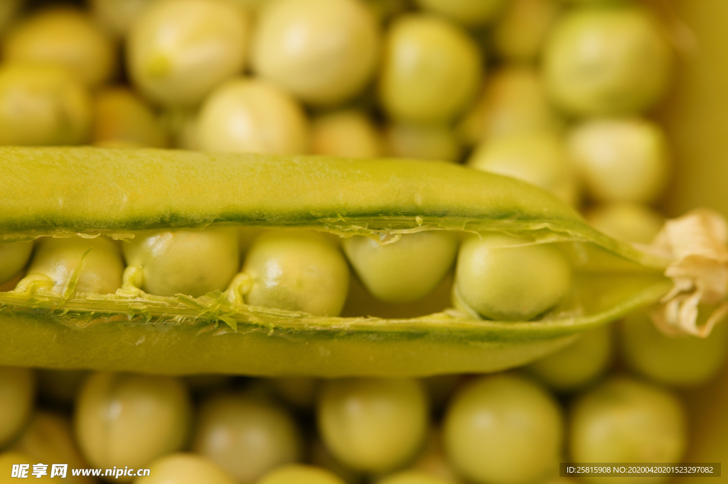 豌豆五谷杂粮图片