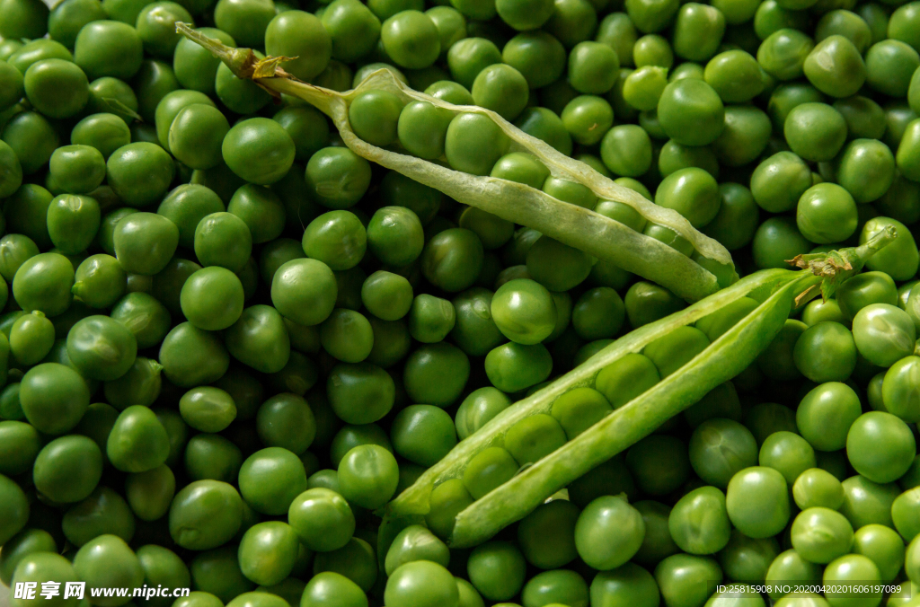 豌豆五谷杂粮图片
