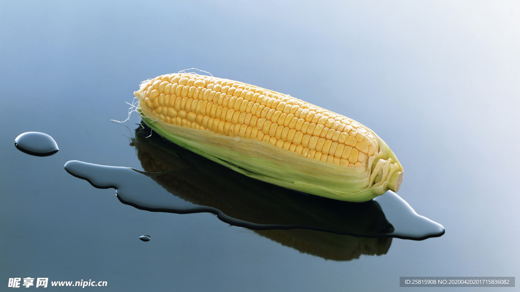 玉米五谷杂粮图片