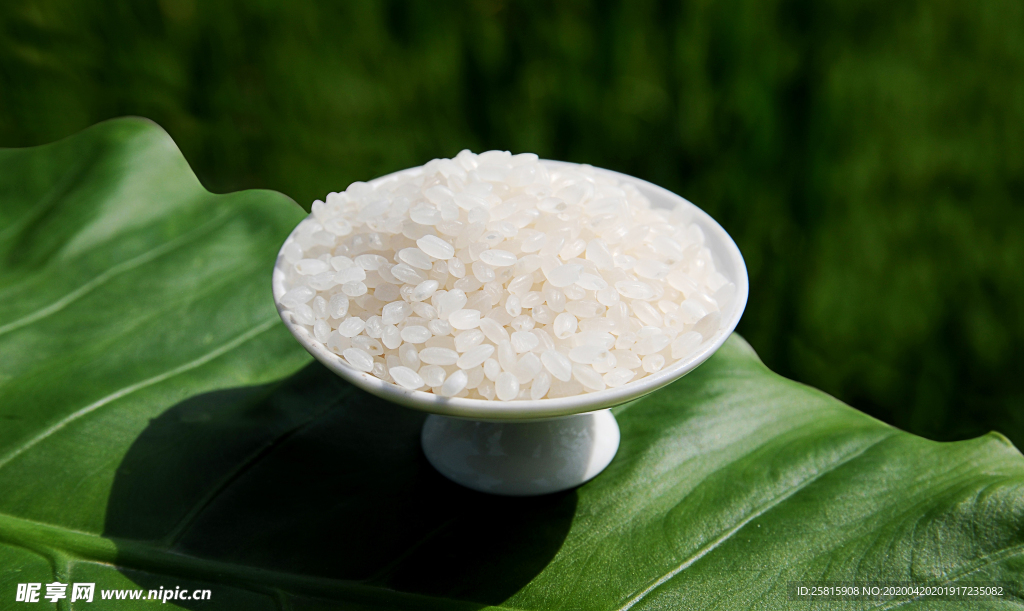 大米五谷杂粮图片