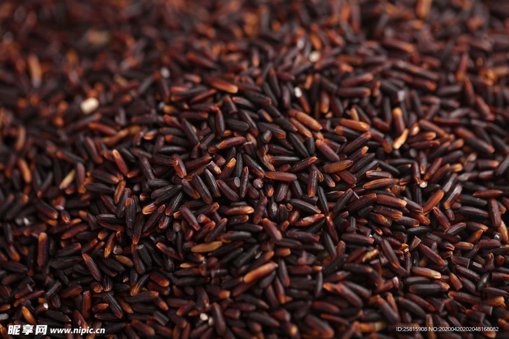 紫米五谷杂粮图片