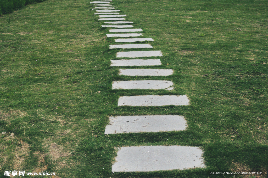 草地上的石板路