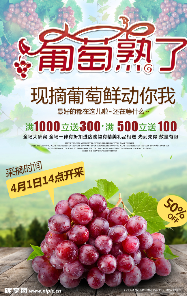 采摘季美食葡萄采摘优惠活动海报