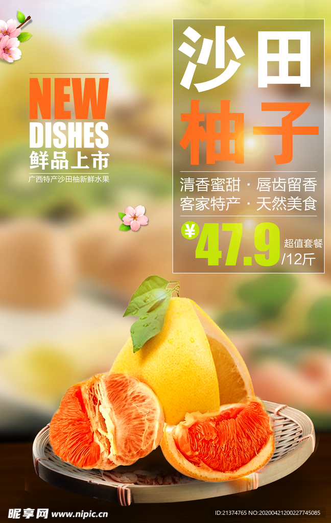 沙田清新红心柚子特产海报