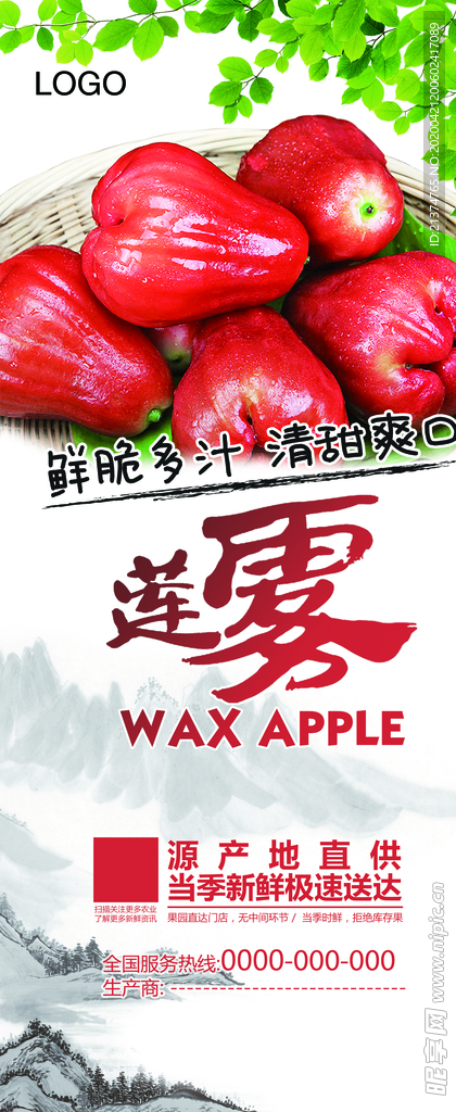 水果莲雾宣传展架