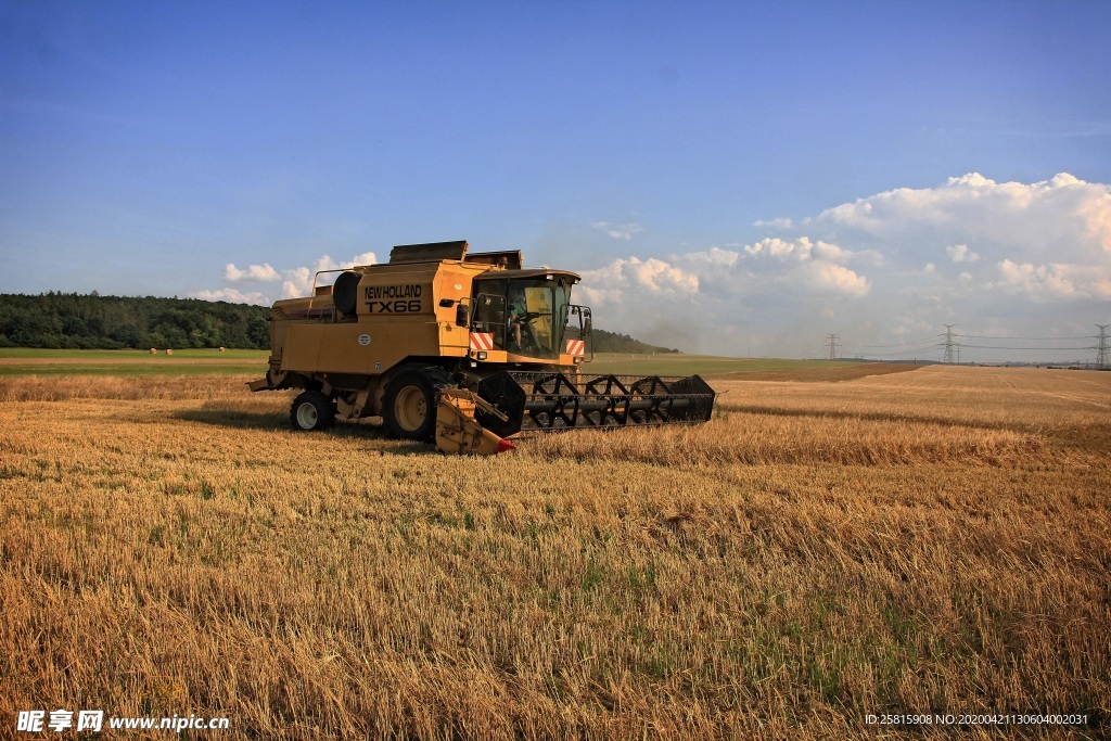 收割机丰收图片