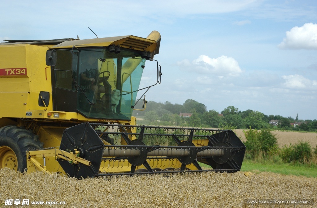 收割机丰收图片