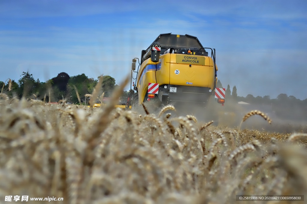 收割机丰收图片