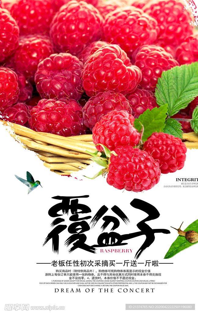 新鲜覆盆子美食海报