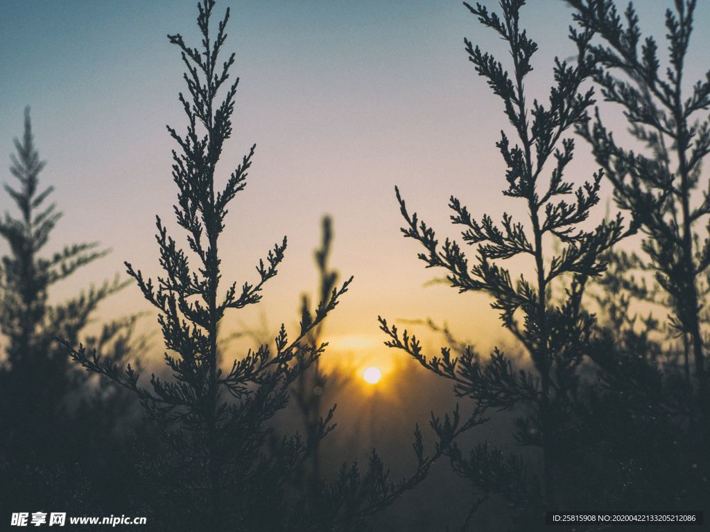 日出旭日云霞图片