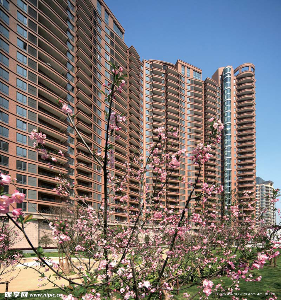 花园庭院