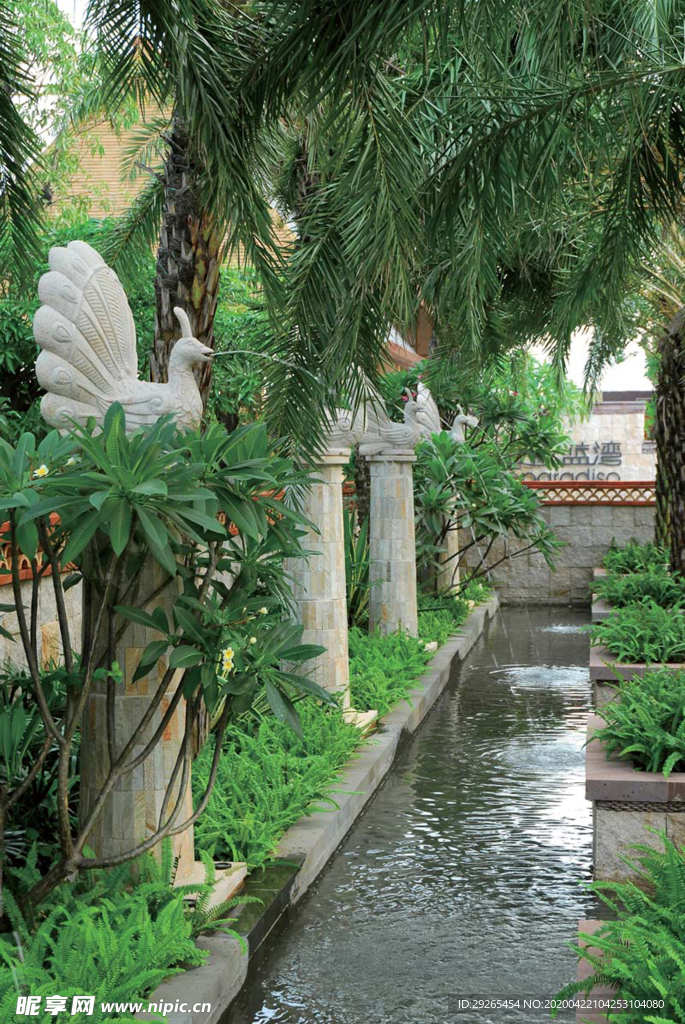 花园庭院