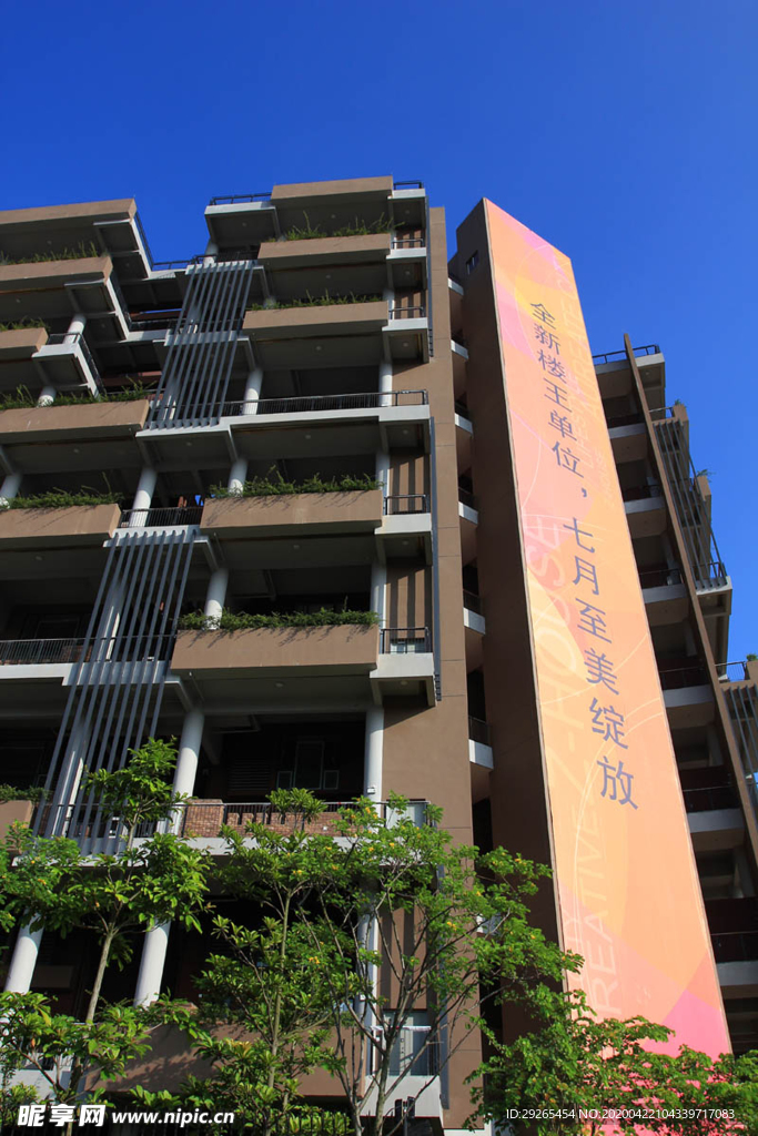 花园庭院
