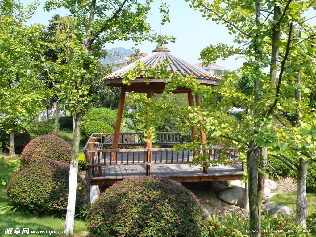 花园庭院