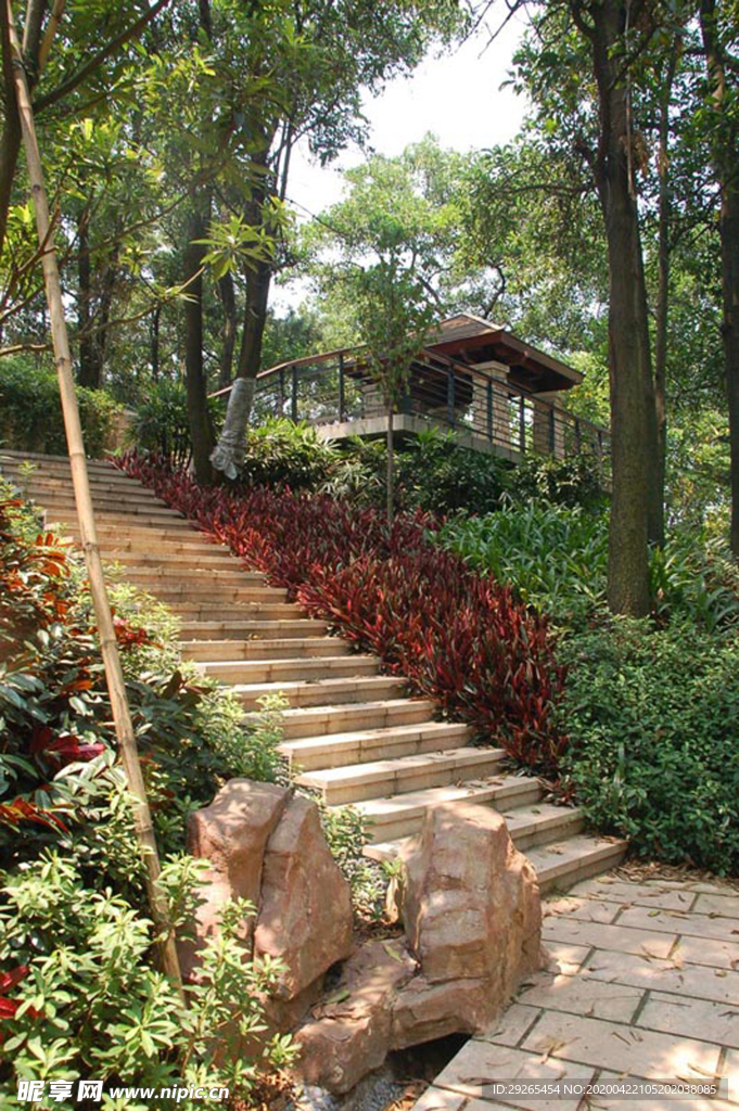 花园庭院