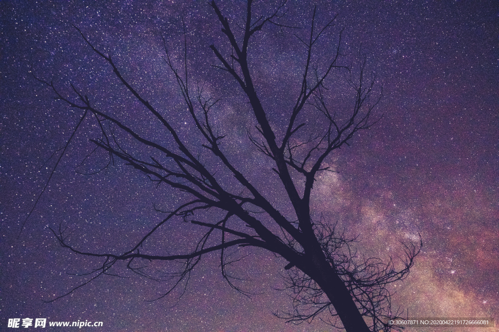 树星空