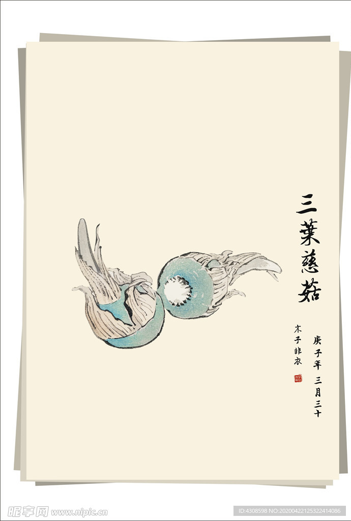 三叶慈菇 水墨画