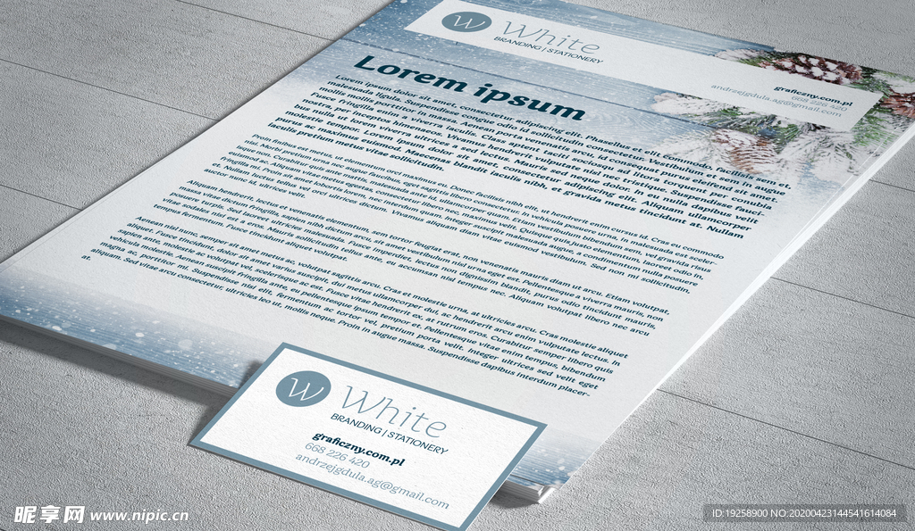 vi模版效果图样机