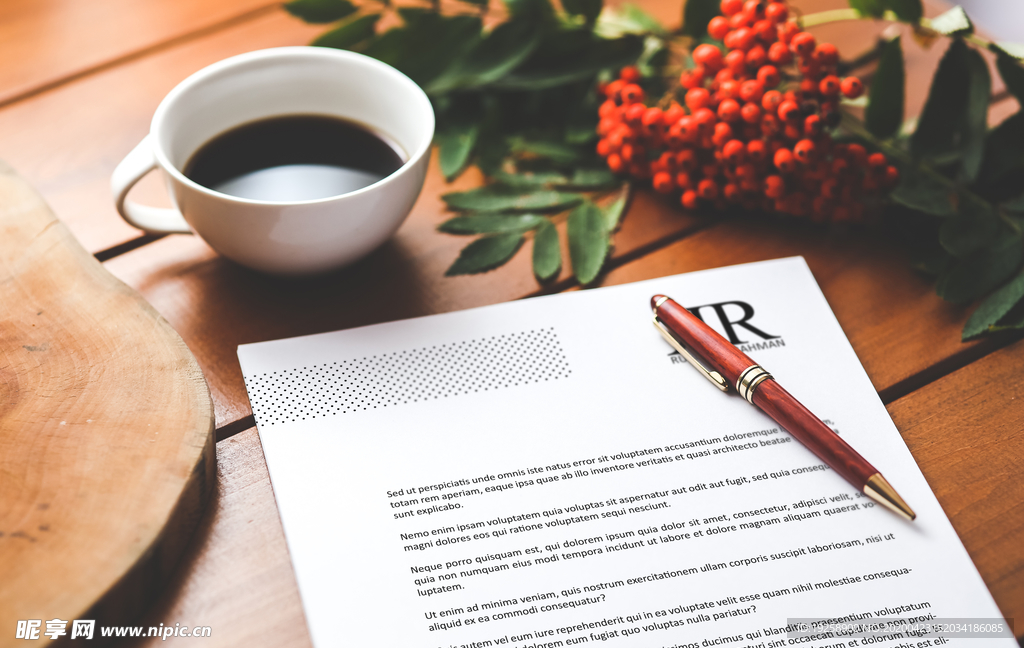 vi模版效果图样机