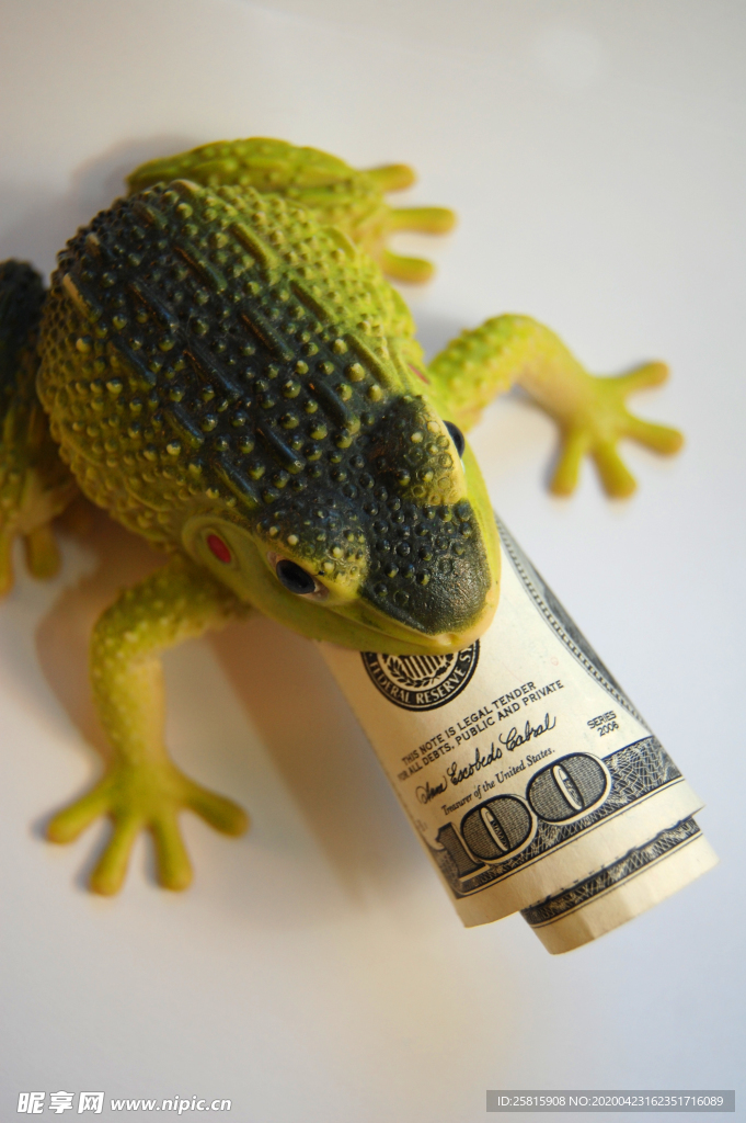 玩具蟾蜍吞钱图片