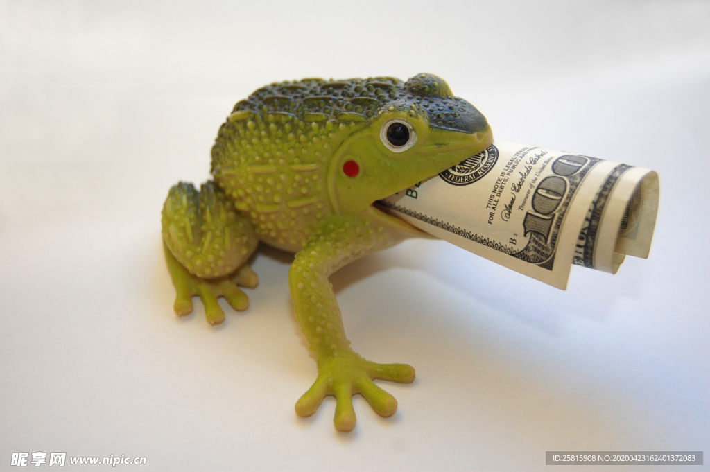 玩具蟾蜍吞钱图片