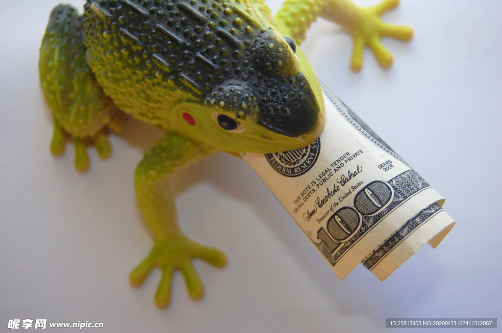 玩具蟾蜍吞钱图片