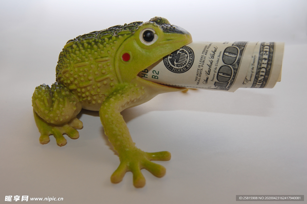 玩具蟾蜍吞钱图片
