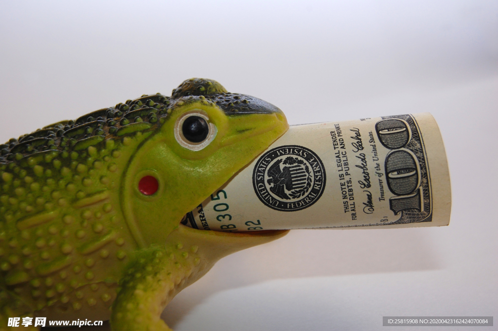 玩具蟾蜍吞钱图片