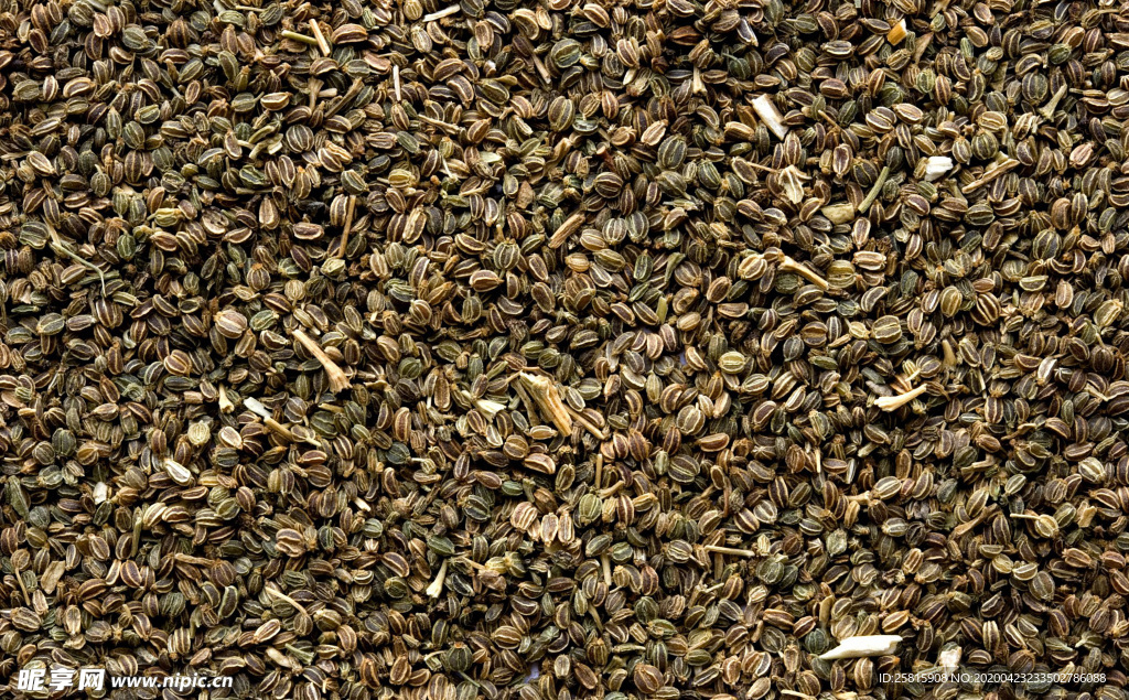 香料五香调味图片