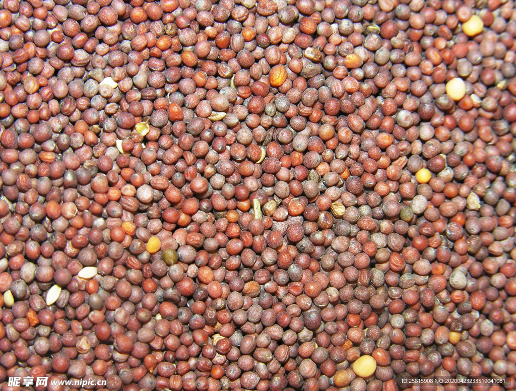 香料五香调味图片