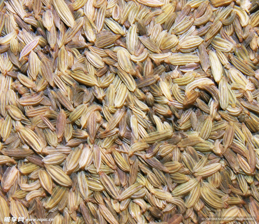 香料五香调味图片