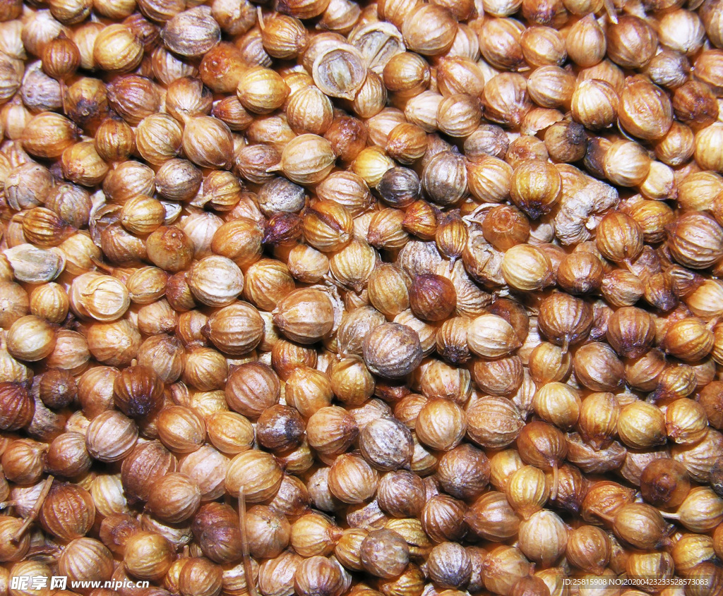 香料五香调味图片