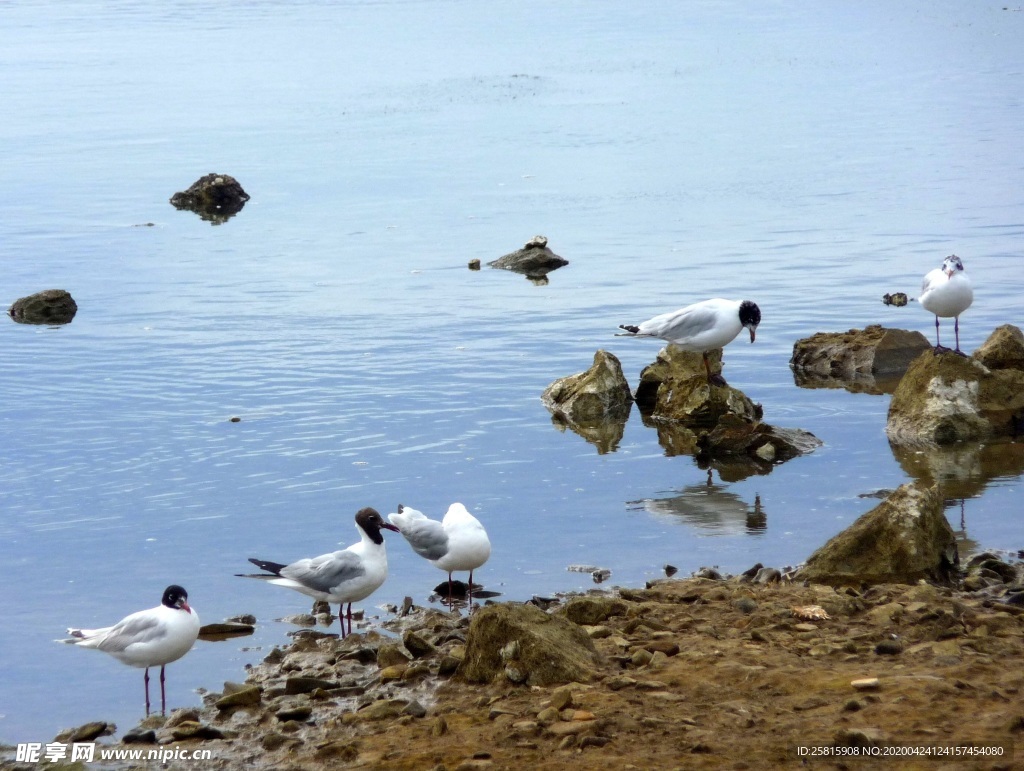 亚得里亚海美景