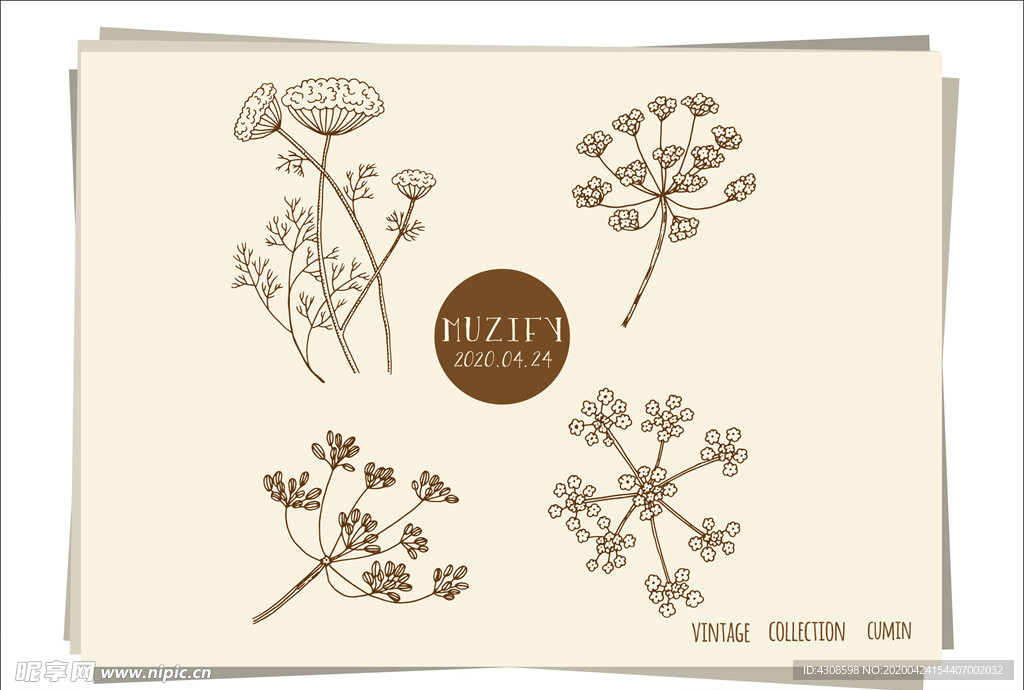 4款满天星 手绘稿