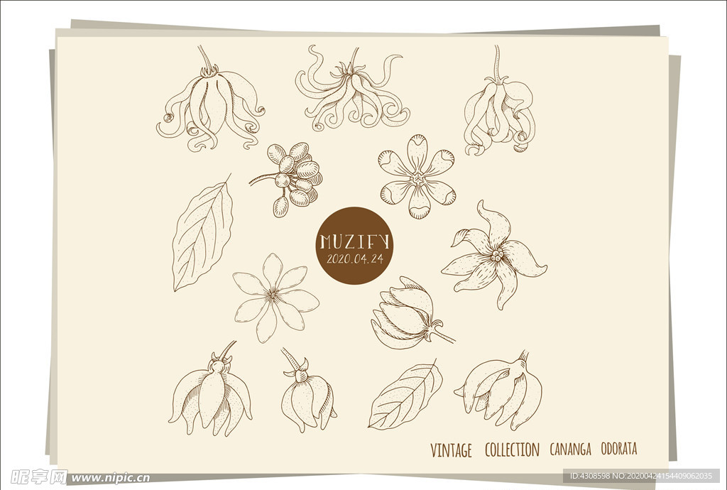 13款入依兰香手绘稿