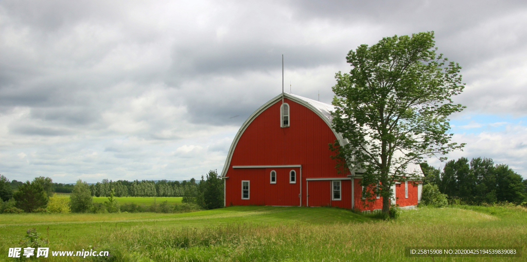 一棵树唯美意境图片