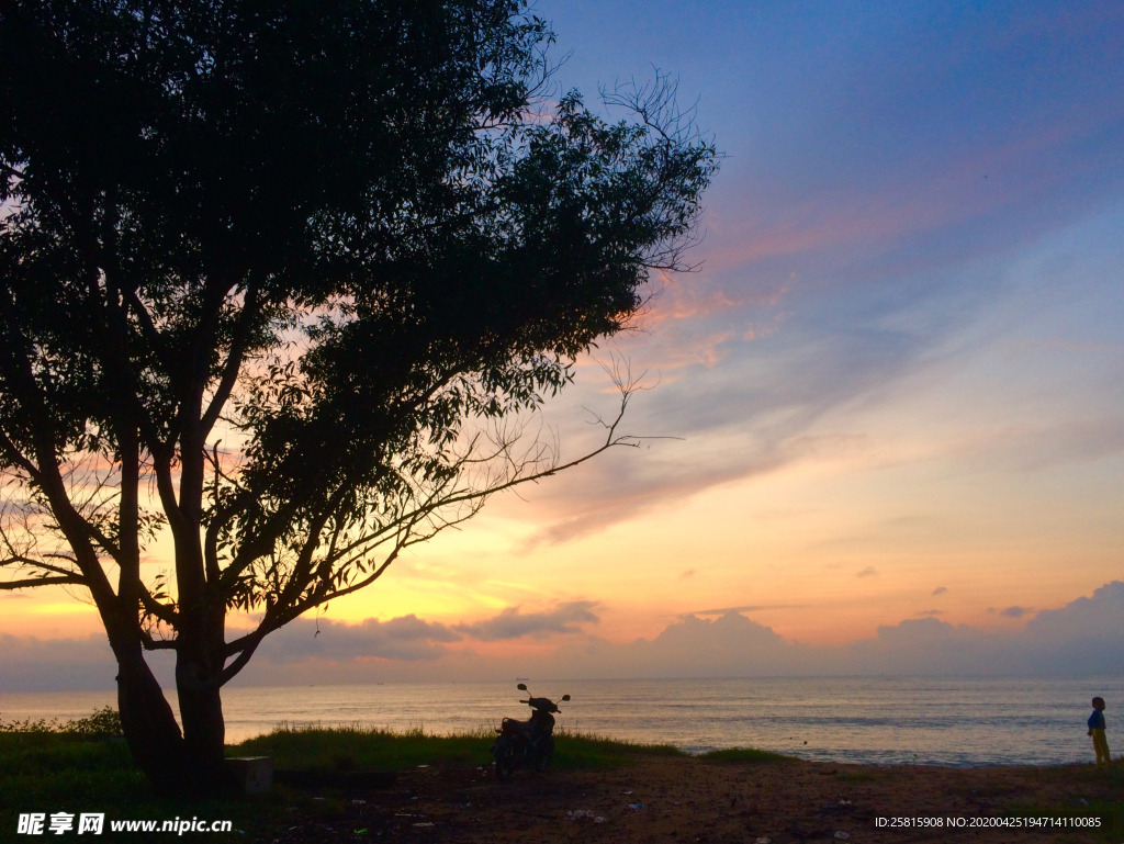 一棵树唯美意境图片