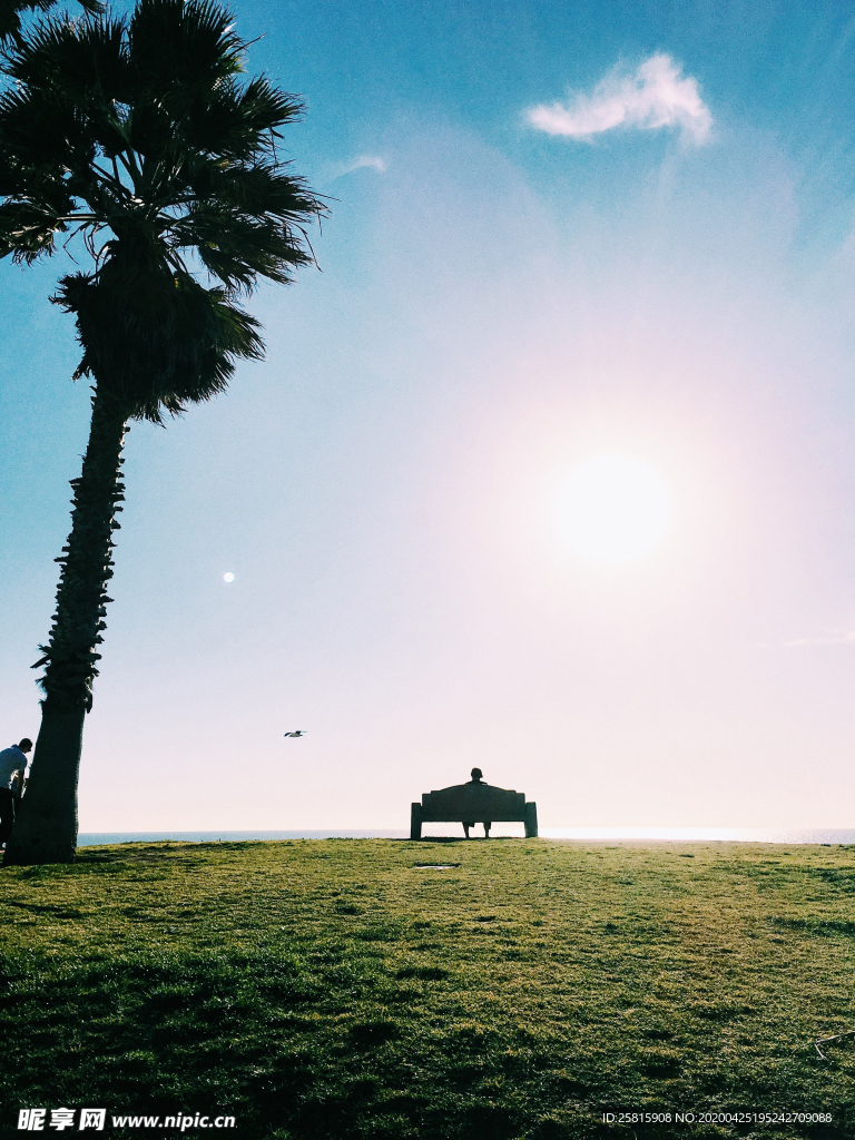 一棵树唯美意境图片