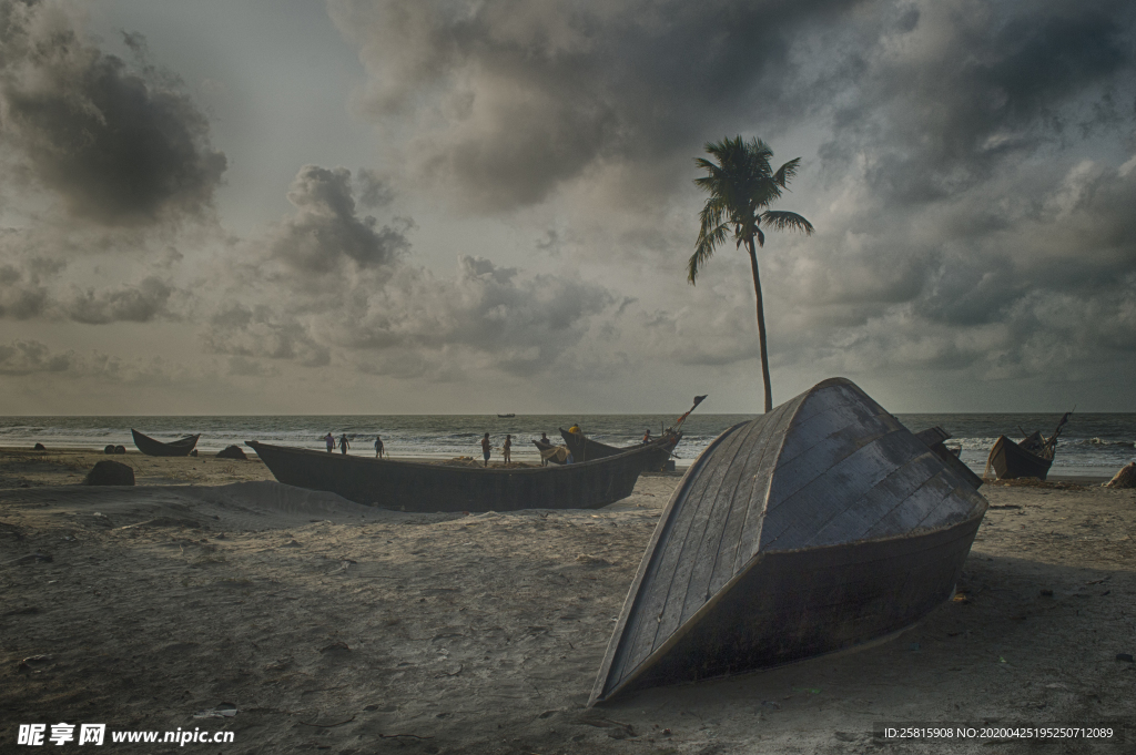 一棵树唯美意境图片