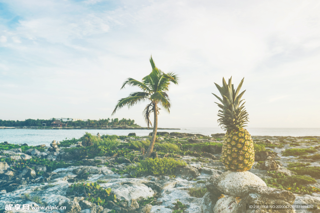 一棵树唯美意境图片