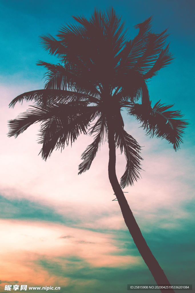 一棵树唯美意境图片